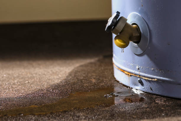 Best Carpet water damage restoration  in Pelzer, SC