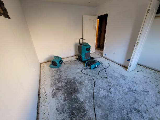 Best Water damage restoration mold remediation  in Pelzer, SC