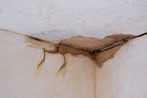 Best Commercial water damage restoration  in Pelzer, SC