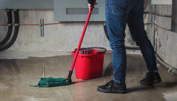 Best 24-hour water damage restoration  in Pelzer, SC