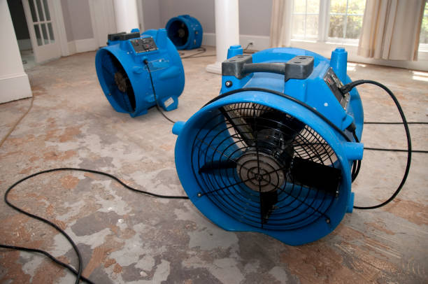 Best Emergency water extraction  in Pelzer, SC