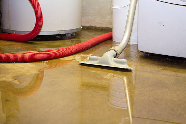 Water damage restoration experts in SC