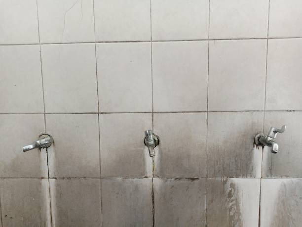 Best Mold removal after water damage  in Pelzer, SC